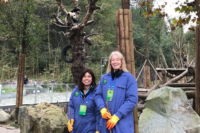 Private Dujiangyan Panda Base Panda Rescue Center Volunteer for a Day - Is It Worth the Price?