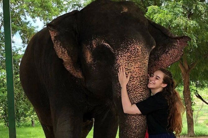 Private Elephant Sanctuary - The Value and Pricing