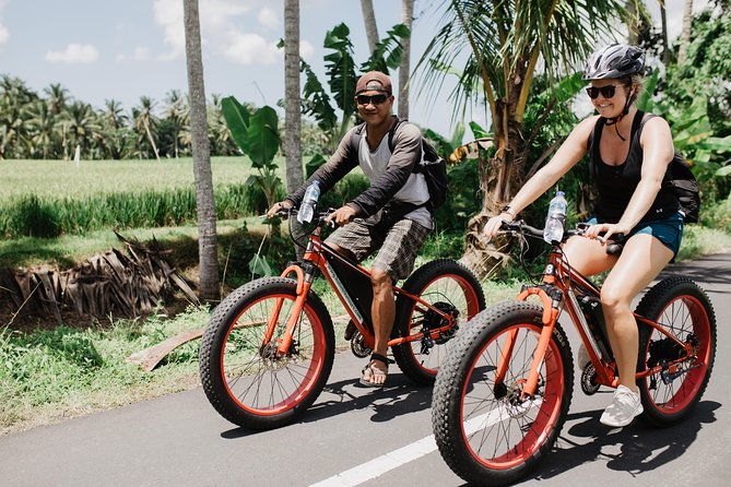 Private Fat Tire E-Bike Tour in Ubud - Final Thoughts