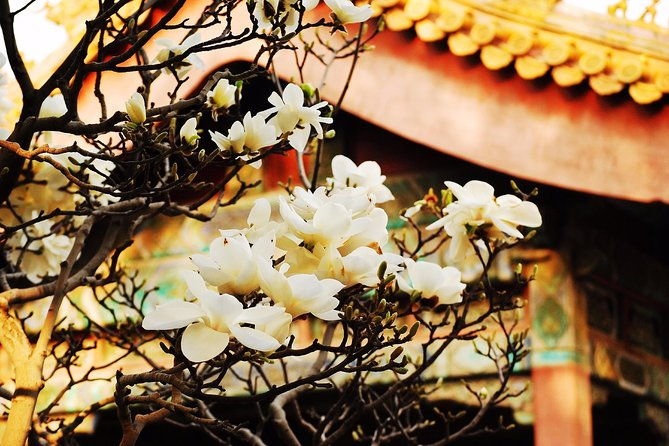 Private Flexible Beijing City In-Depth Walking Tour w/ Your Fancy - A Deep Dive into the Itinerary