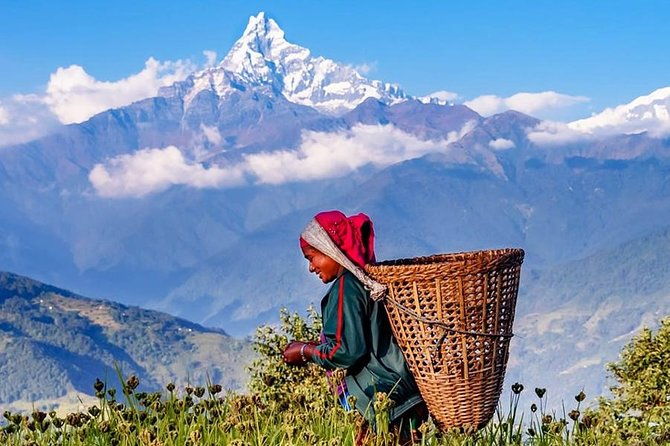 Private Full-Day Hike in the Annapurna Foothills in Pokhara - Final Thoughts