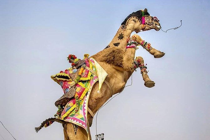 Private Full Day Jaipur Sightseeing Tour By Tuk-Tuk (Rickshaw) - The Itinerary Breakdown: What to Expect