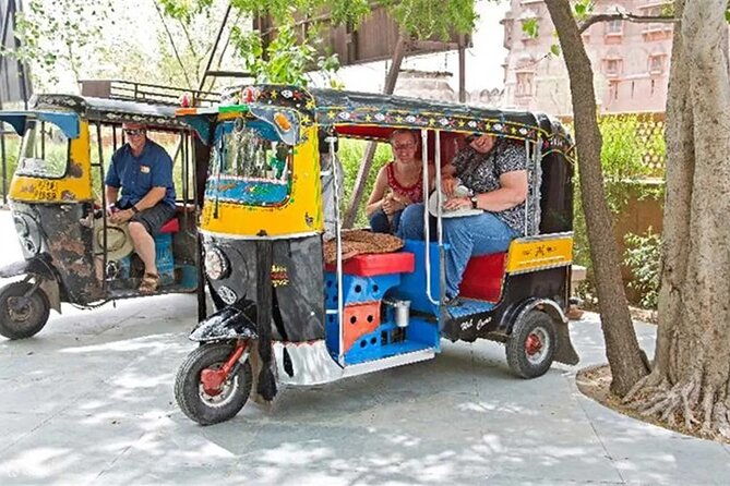 Private Full-Day Jaipur Tuk-Tuk Tour with the Monkey Temple - The Practicalities