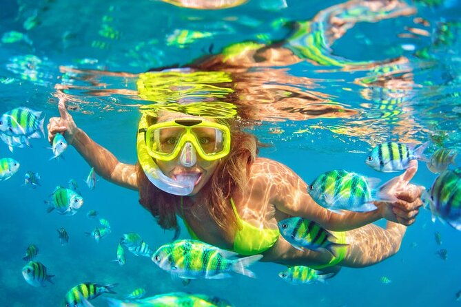 Private Full-Day Lovina Dolphin Watching and Snorkeling Boat Tour - FAQs