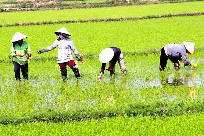 Private Full-day Mekong Tour From Ho Chi Minh City, Including River Cruise - The Value of This Experience
