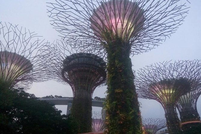 Private Full Day Singapore Highlights Tour - What Makes This Tour Stand Out?