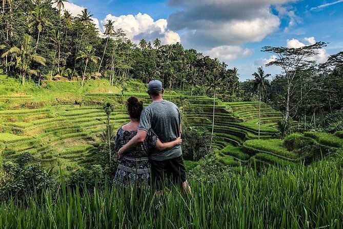Private Full Day Tour with Ubud and Kintamani Highlights - Who Is This Tour Best For?