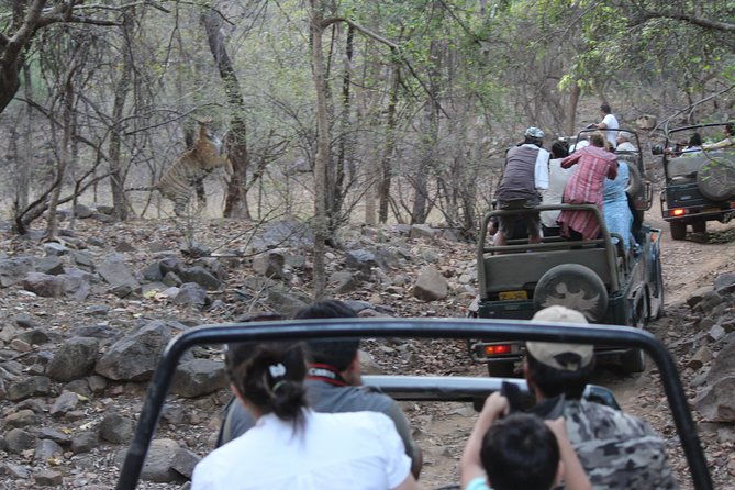 Private Full Day Trip to Ranthambore - Post-Safari and Return Journey