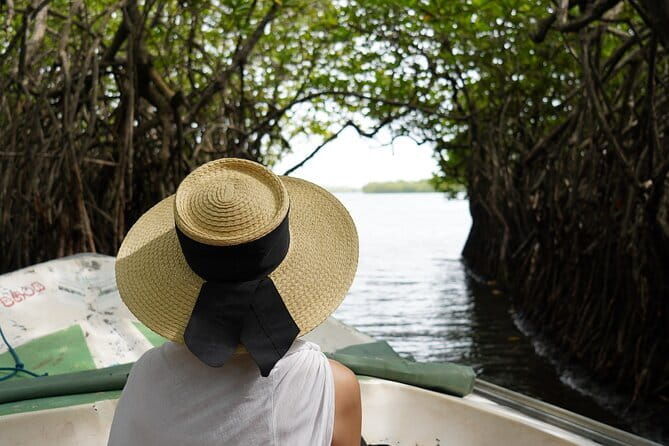 Private Galle Day Tour with River Safari, Stilt fishing & Turtles - The Full Breakdown of the Tour Experience