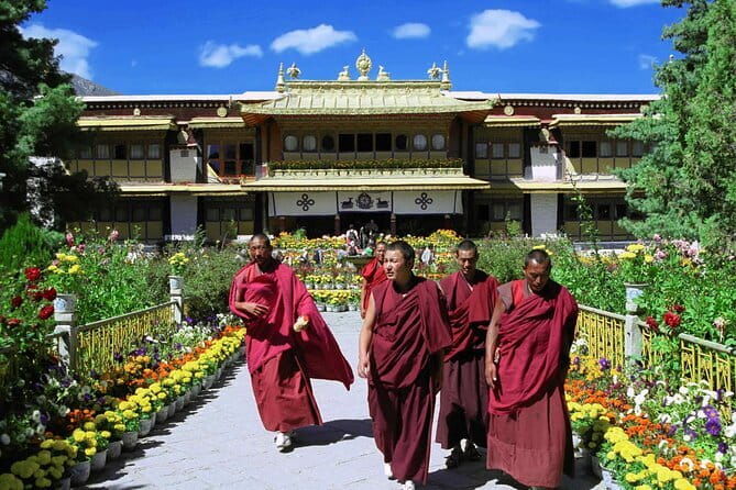 Private Guided Dharamshala Tour with Scenic Views & Lunch - Practical Considerations