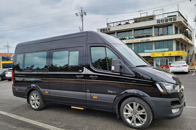 Private Half Day South and West Tour in Jeju Island - Transport and Experience Quality