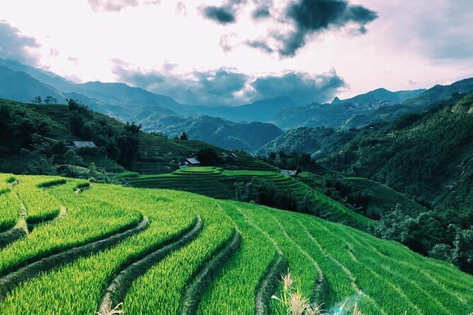Private Half-Day Tour of Villages, Terrace Rice Fields by Car - An In-Depth Look at the Tour