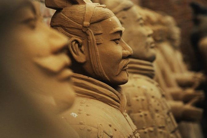 Private Half Day Tour to The Terracotta Warriors Museum - Insights from Traveler Reviews