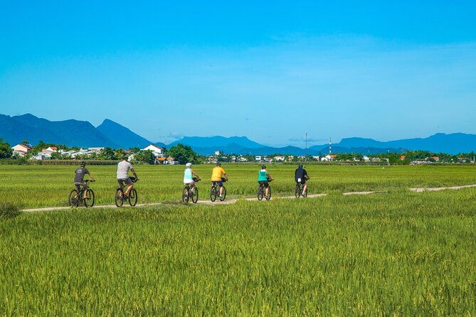 Private Hoi An to My Son Sanctuary Full-Day Bike Tour - The Itinerary in Detail