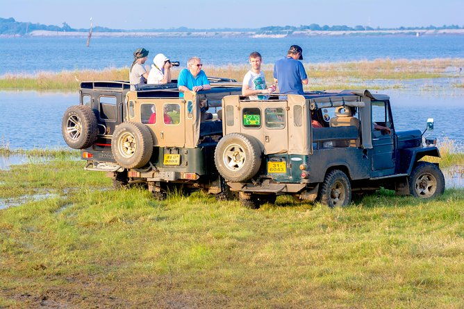 Private Jeep Safari at Minneriya National Park - Why This Tour Is a Great Choice