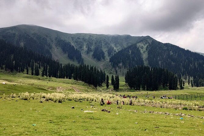 Private Kashmir Family 7-Day Tour - What Could Be Better?