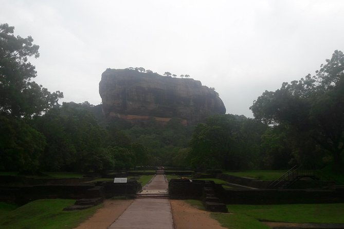 Private Minneriya National Park Jeep Safari And Sigiriya Tour - Authentic Insights from Previous Travelers