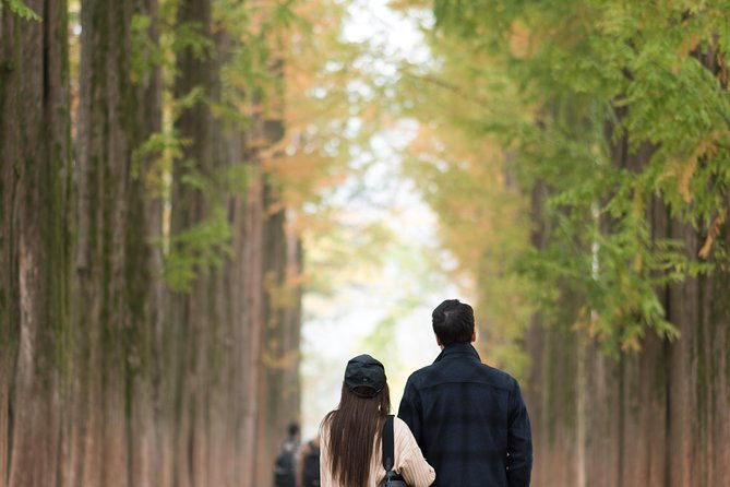 Private Nami Island Photo Shoot and Tour with a Photographer - How It Works