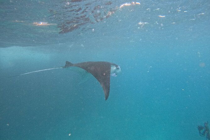 PRIVATE Nusa Penida on Boat Snorkeling & Island Tour (INCLUSIVE) - Overview of the Tour Experience