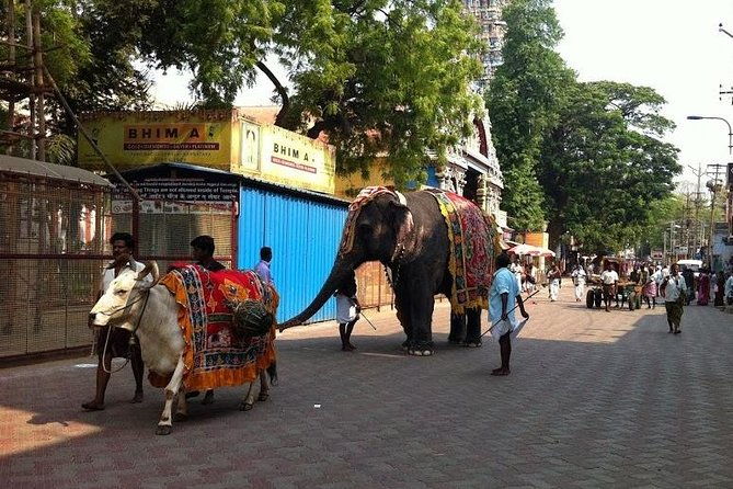 Private Once Upon A Madurai Trail Walking Tour - What Travelers Say About the Guides
