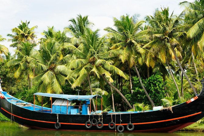 Private Overnight Alleppey Houseboat Cruise from Kochi - Who Is This Tour Best For?
