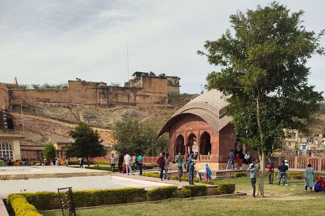 Private Same Day Jaipur Tour from Delhi by Car - What Travelers Say