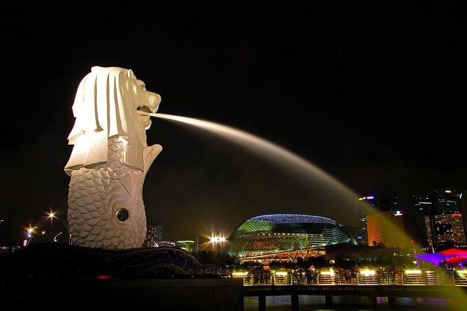 Private Singapore Customized Tour With Driver in small group - Summary