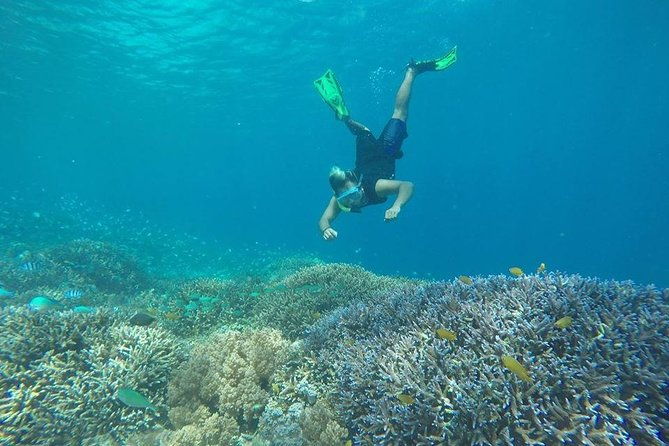 Private Snorkeling Gili Island (Coral, Statue and Turtle) - Whats Included and What to Expect