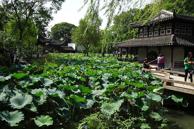 Private Suzhou Day Tour from Shanghai to Classical Gardens and Tongli Water Town - Who Will Love This Tour?