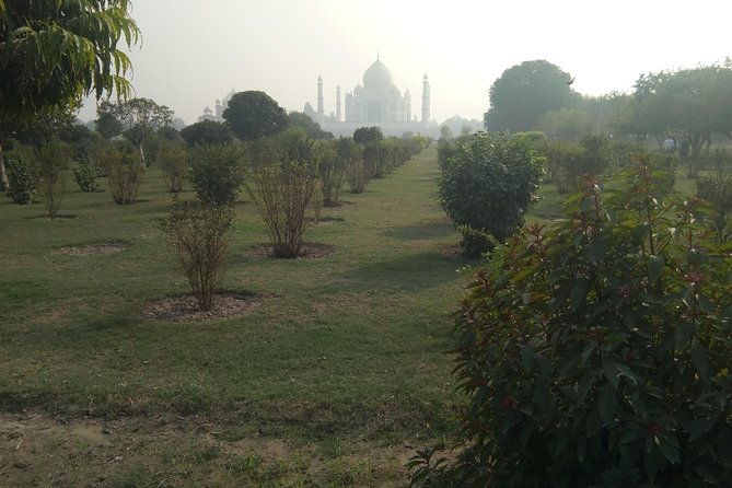 Private Taj Mahal Sunrise Day Tour From Delhi by Car - Real Experiences from Reviewers