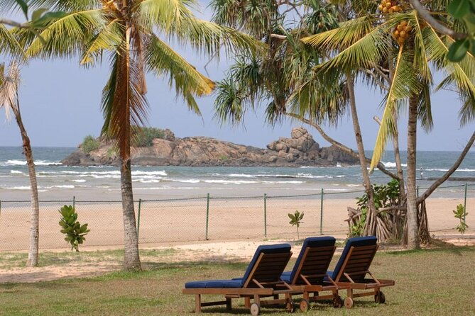 Private Taxi from Sri Lanka Airport (CMB-BIA) to The Palms Hotel Beruwala - Meeting Your Driver: What to Expect