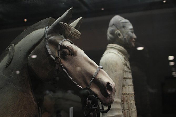 Private Tour: 2-Day/3-Day Xi'an Round-Trip from Shanghai by Air - Transportation and Timing