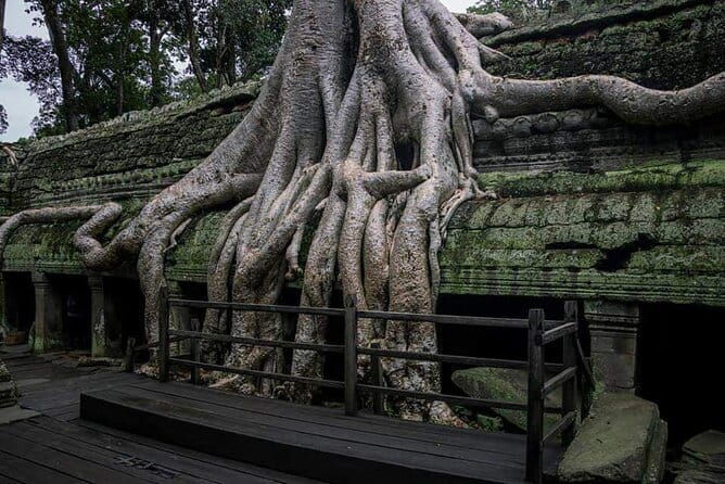 Private Tour-Angkor Complex Discovery - Authenticity and Reviews: Guides Make the Difference