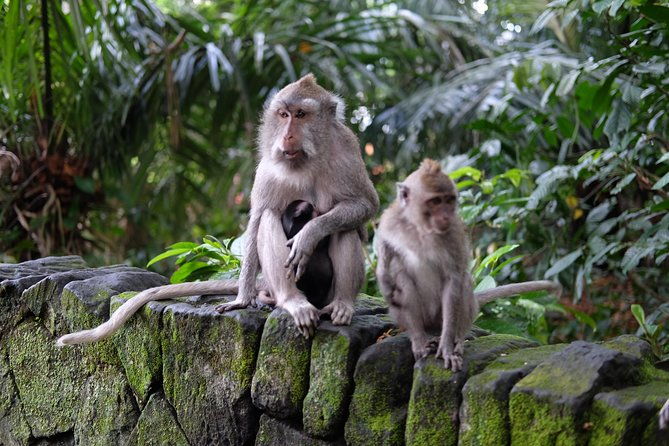 Private Tour: Bali in a Day - An In-Depth Look at the Itinerary