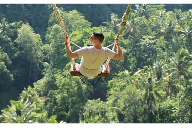 Private Tour Bali Swing & Visiting Temples in Bali - Authentic Experiences from Reviews