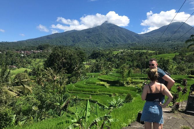 Private Tour: Bali Temple and Countryside Tour - Dive into the Itinerary