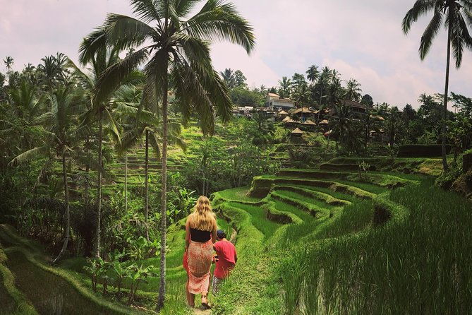 Private Tour: Balinese Culture and Scenery (visit ubud area) - What’s Included and What’s Not