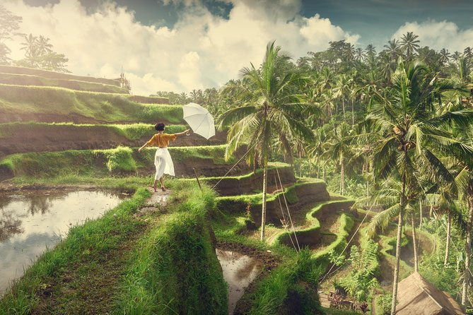 Private Tour: Best of Bali - All Inclusive Tickets - How the Transportation and Timing Enhance Your Experience  
