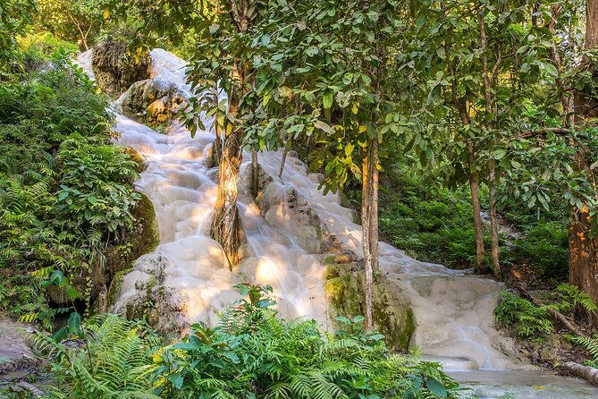 Private Tour: Bua Thong Sticky Waterfalls Tour - Detailed Breakdown of the Itinerary