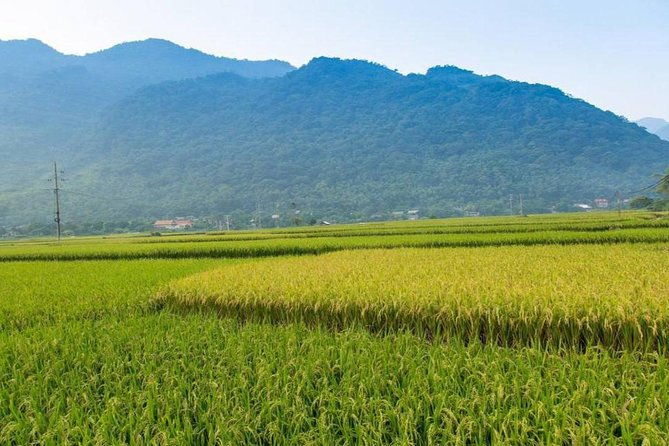 Private Tour: Day Tour of Mai Chau from Hanoi - Deep Dive into the Experience
