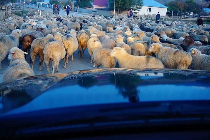 Private tour from Almaty 4 days in National parks all inclusive - The Sum Up
