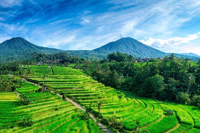Private Tour: Handara Iconic Gate, rice terrace & Ulundanu Temple - Why This Tour Stands Out