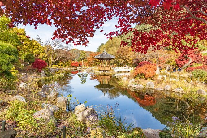 (Private tour) Nami Island + Railbike + Garden of morning calm - Itinerary Breakdown — What’s Really in Store?