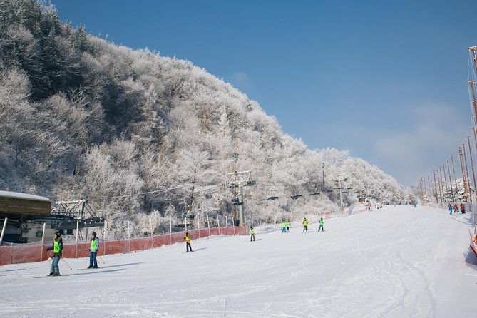 [Private Tour] Nami Island & Snow Viewing and Snow sled (More Members Less Cost) - The Practicalities: What’s Included and What to Consider