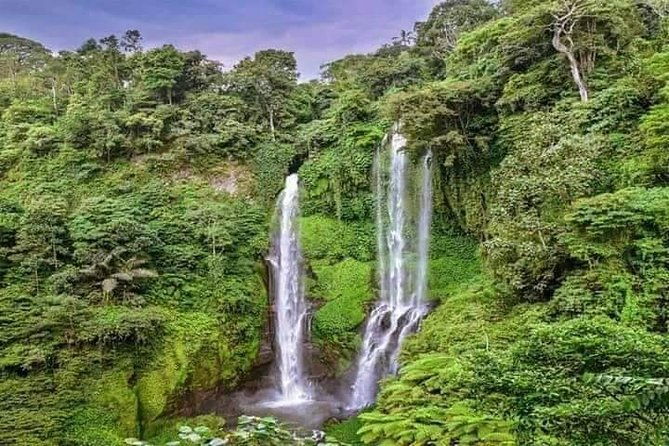 Private Tour Sekumpul Waterfall Combination Beratan Temple & Twin Lakes - What’s Included and What’s Not