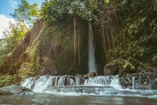 Private Tour to Sumampan Waterfall, Monkey forest, Rice terraces and Swing - Detailed Breakdown of the Itinerary