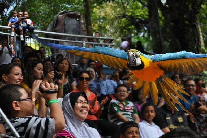 Private Tour to The Best of Animal Attractions in Kuala Lumpur - Who Will Love This Tour?