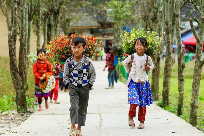 Private Transfer Between HANOI - SAPA (Danny Phan Travel) - The vehicle options and travel comfort