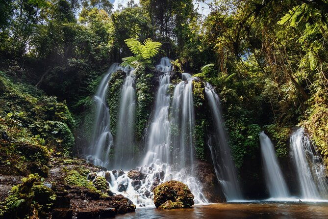 Private Waterfalls Tour in North Bali - What to Expect from the Tour Experience