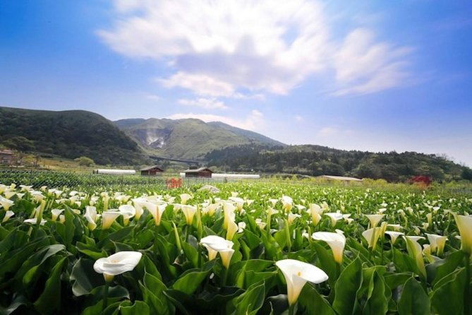 Private Yangmingshan & Beitou Tour from Taipei with Pickup - FAQ